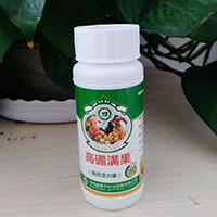 高硼满果100ml×80瓶